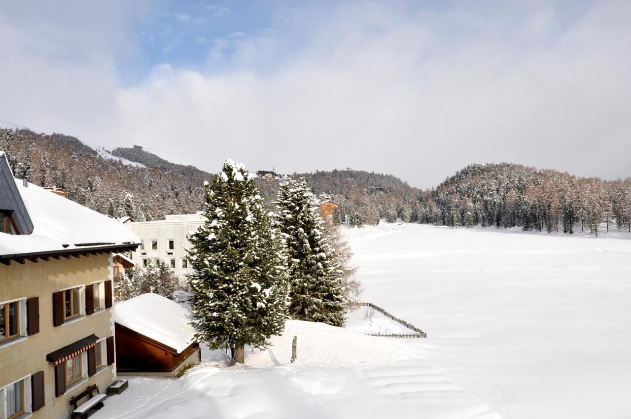 Cosy Apartment Facing Piz Rosatsch Saint-Moritz Extérieur photo