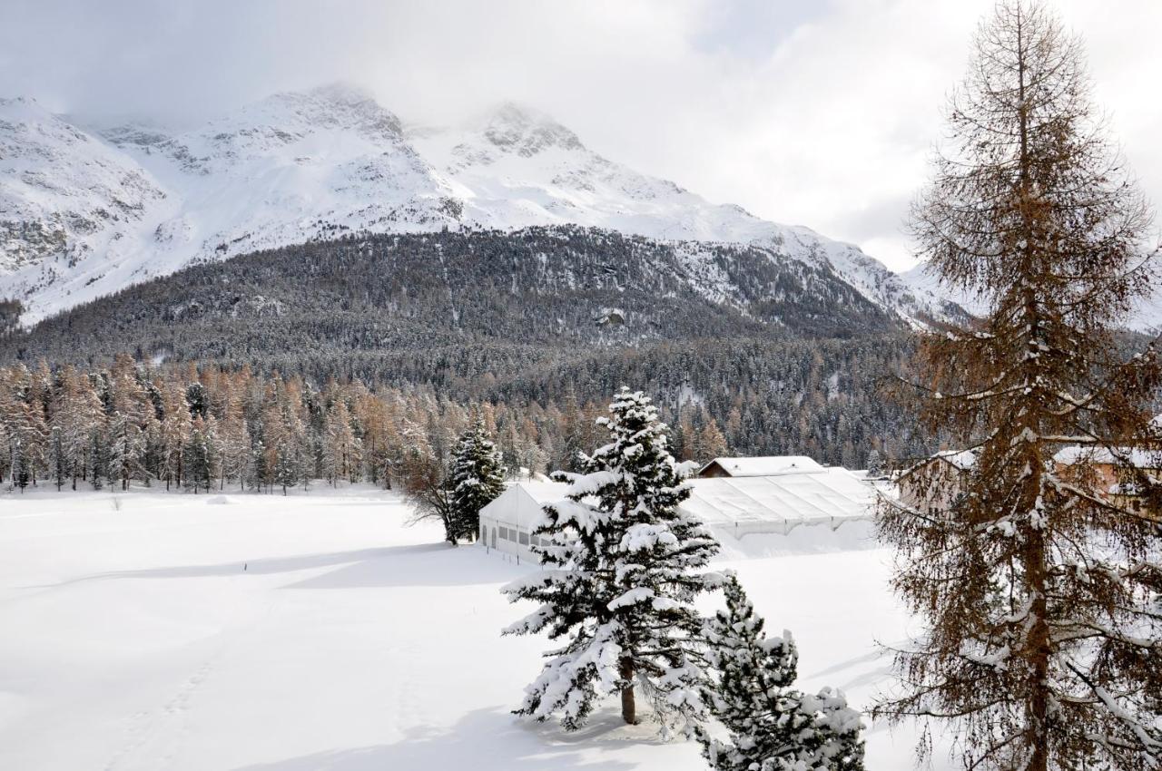 Cosy Apartment Facing Piz Rosatsch Saint-Moritz Extérieur photo